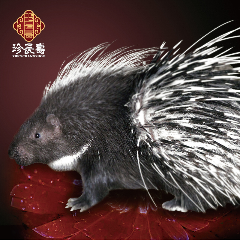 【有機(jī)認(rèn)證】周身是寶，不是豬的“豬”（長生淀基地年產(chǎn)量1萬頭）